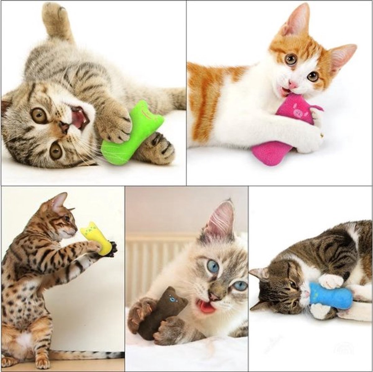 Catnip Plush Toy | Cat Toys | Catnip | Cat Toys | BLUE