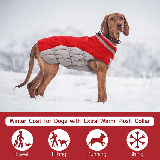 S Red Grey Premium Winter Puffer Dog Coat - Windproof & Fleece-Lined Jacket for Cold Weather