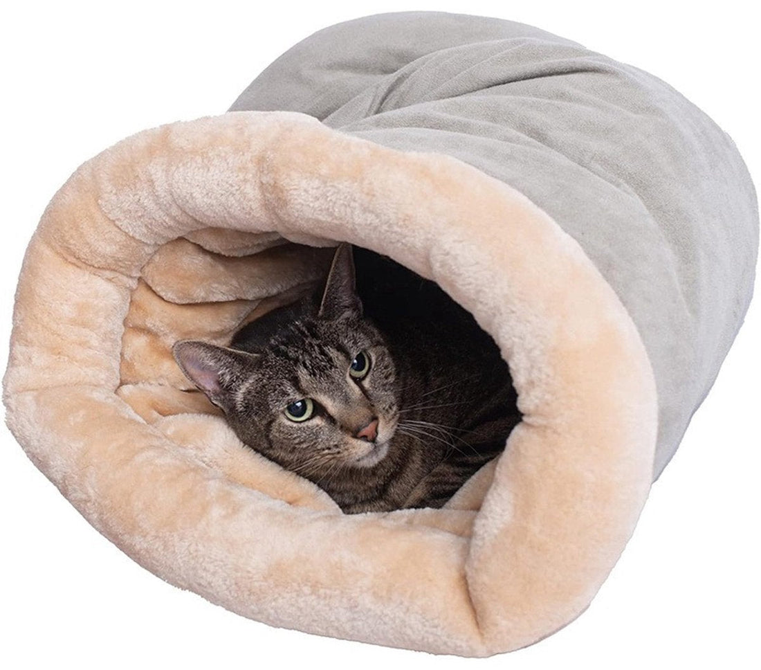 How Cozy Beds Help Cats & Dogs Feel Safe, Calm & Less Anxious