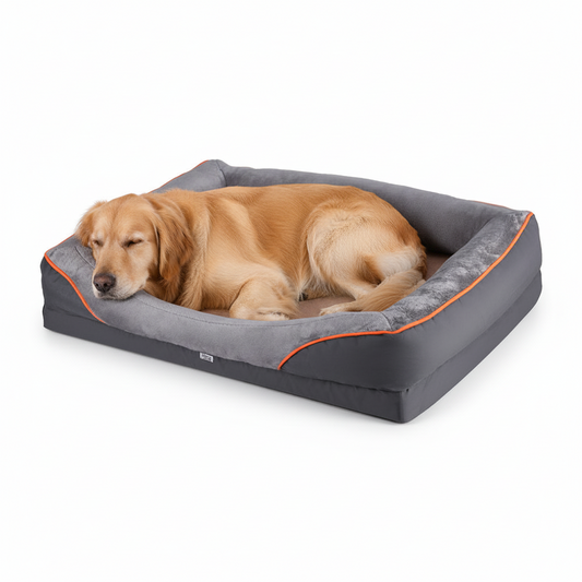 Dog lying on a gray pet bed with orange accents on a white background