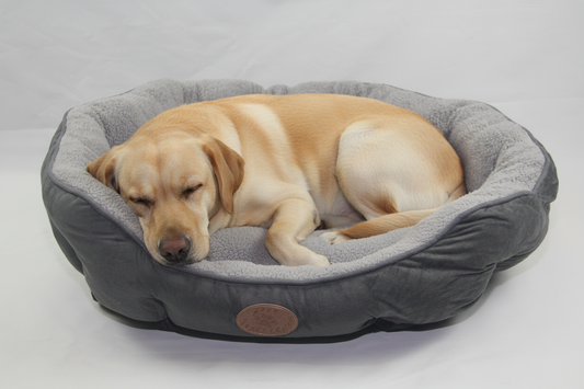 Soft & Cozy Dog Bed (Large)