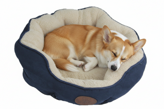 Soft & Cosy Dog Bed (Medium)