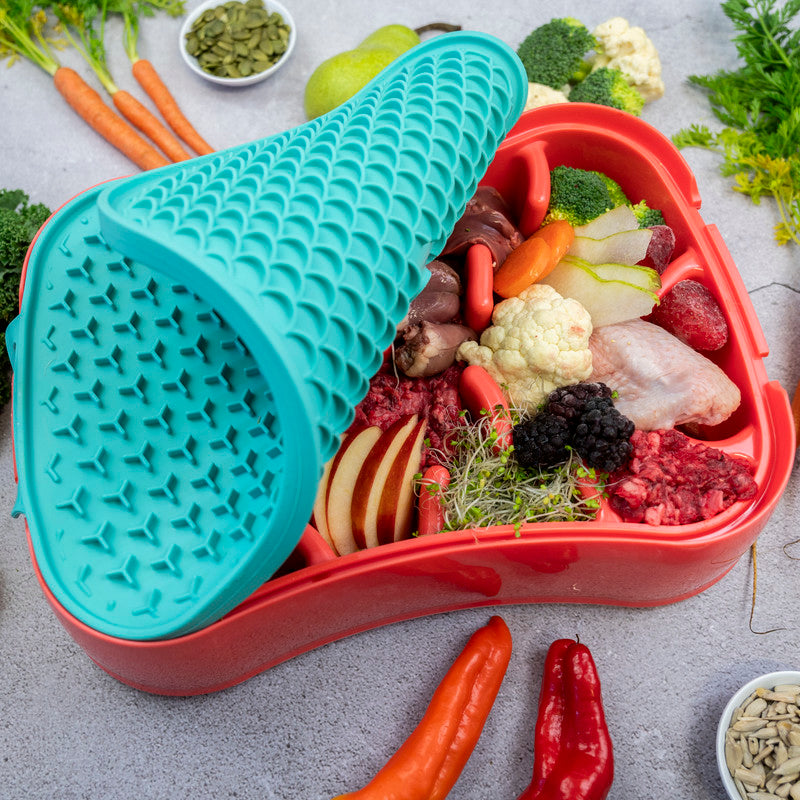 4-in-1 Slow Feeder Dog Bowl - Warm Ocean Red Bowl with Teal Lickmat