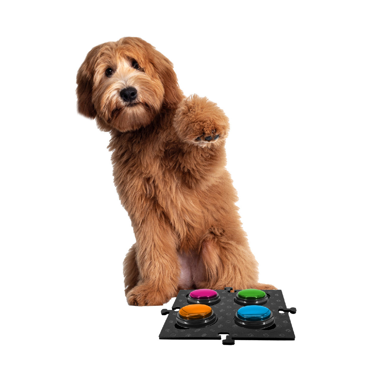 Tech4Pets Black Mat 2-Pack for Talking Buttons & Floor