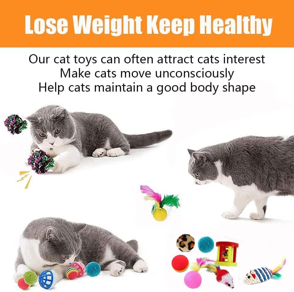21 Piece Cat Toys for Kittens and Cats