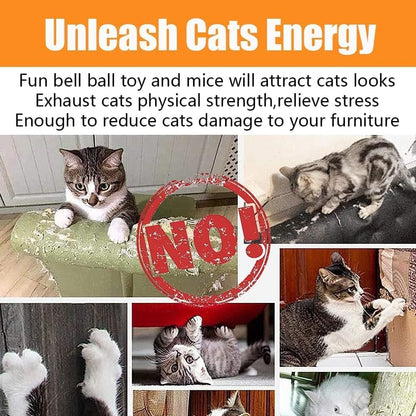 21 Piece Cat Toys for Kittens and Cats