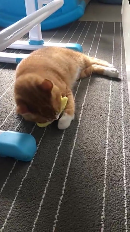 Catnip Plush Toy | Cat Toys | Catnip | Cat Toys | BROWN