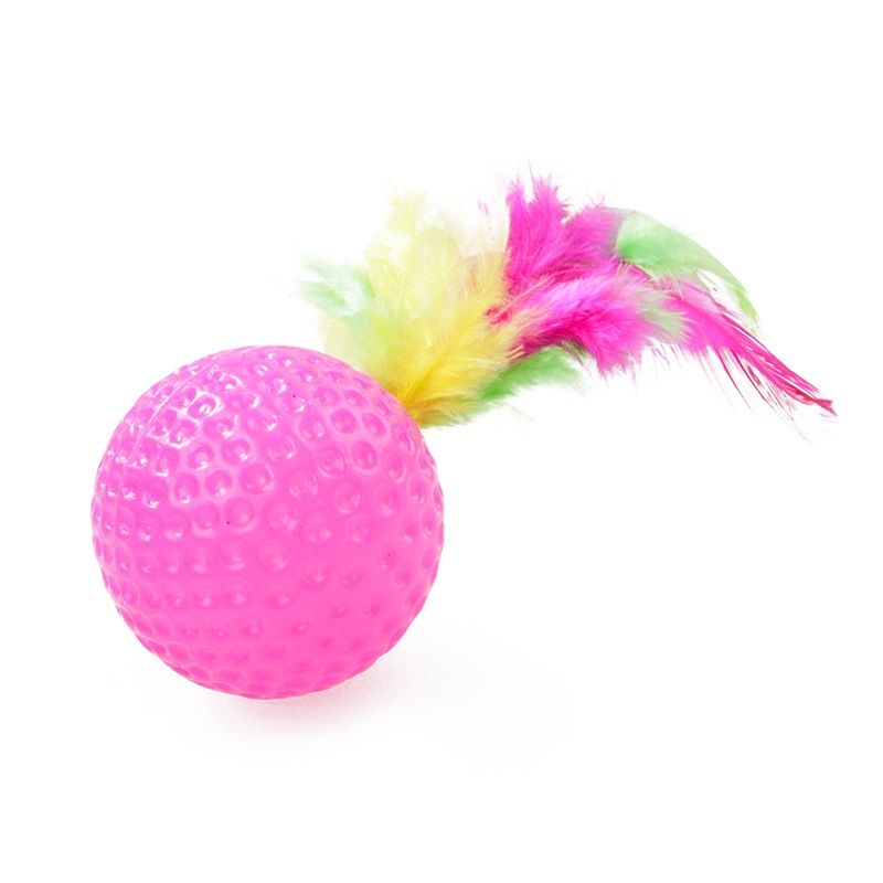 21 Piece Cat Toys, MultiColor - Perfect for Kittens and Cats