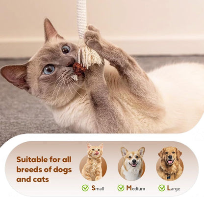 Cat Chew Rope Toy,Interactive Cat Toys for Indoor Cats,Catnip Toys for Bored Indoor Adult Cats,Cat Enrichment Toys,Teeth Cleaning Toy for Kittens All Breeds 23.6in (Purple)