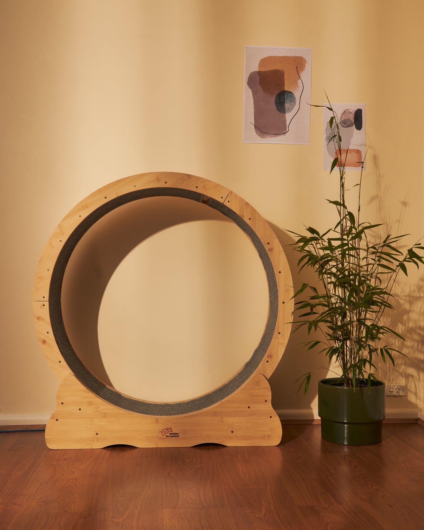 Whisker Wonderland Smart Pet Treadmill - Indoor Fitness Solution for Small Dogs & Cats | Quiet Design, Adjustable Speed, Promotes Pet Health & Weight Management