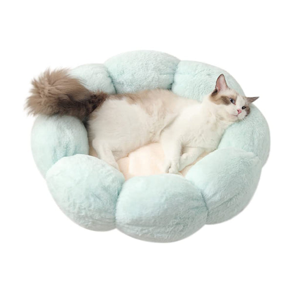 Cat Beds