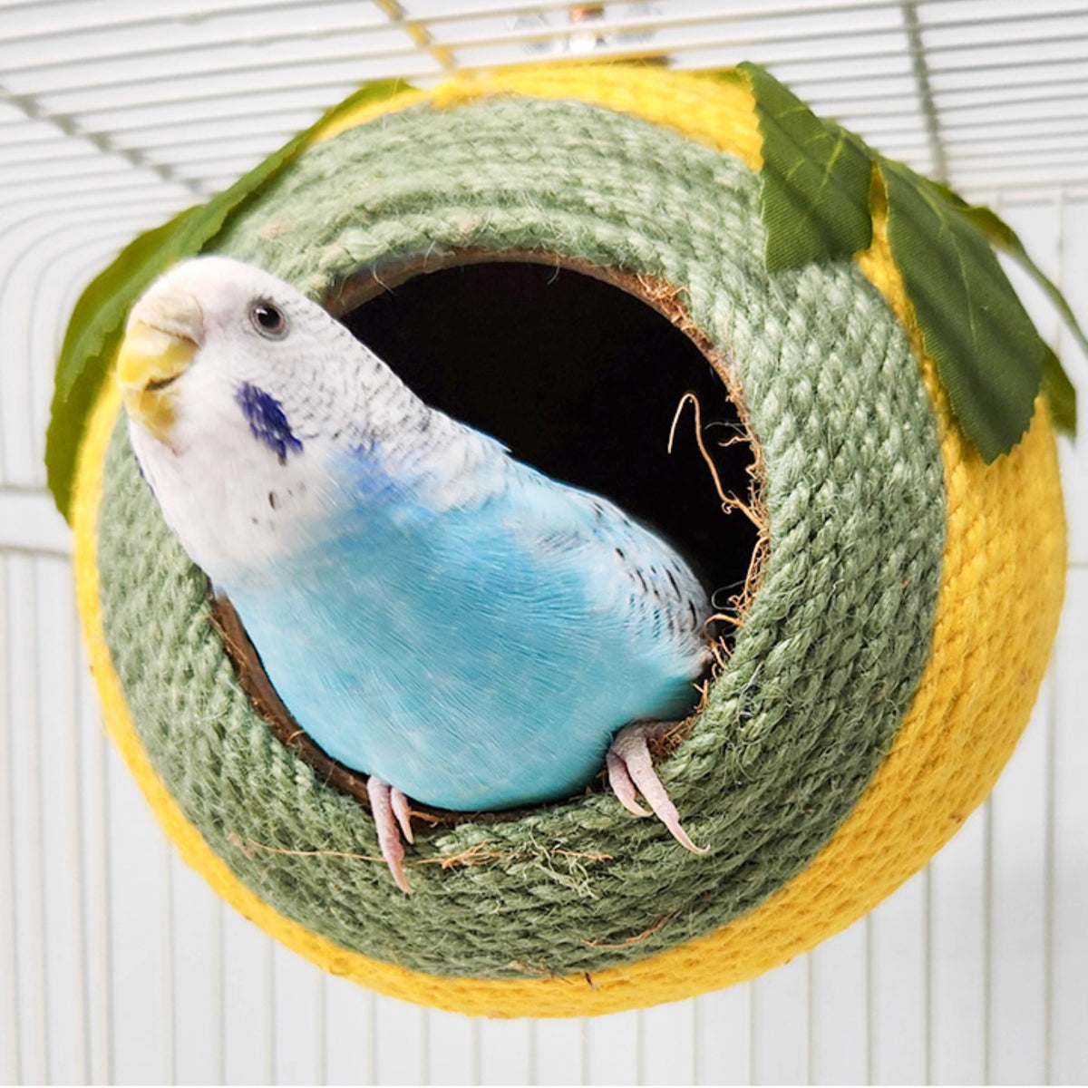 Bird Nest Parrot Nest Coconut Shell Braided Twine Colourful Cage Hanging Bed - White-Brown-Screw Model