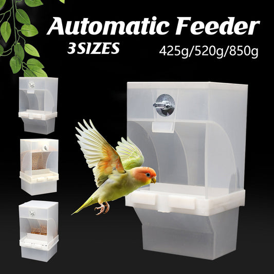 1 pc Automatic Bird Feeder Bird Feeder Cage Accessories Automatic Feed Cage - 850g