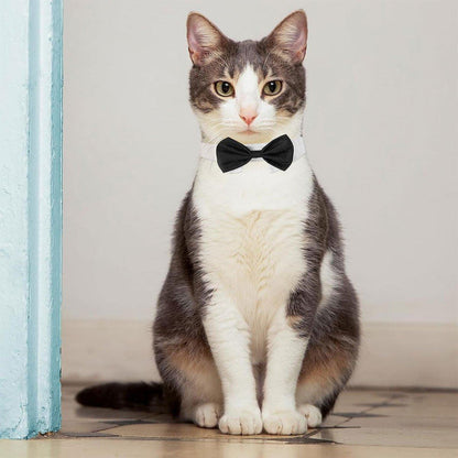 2pcs Pet Bow Tie Collar Dog Cat Suit Dress Accessories Adjustable Neck Strap - L