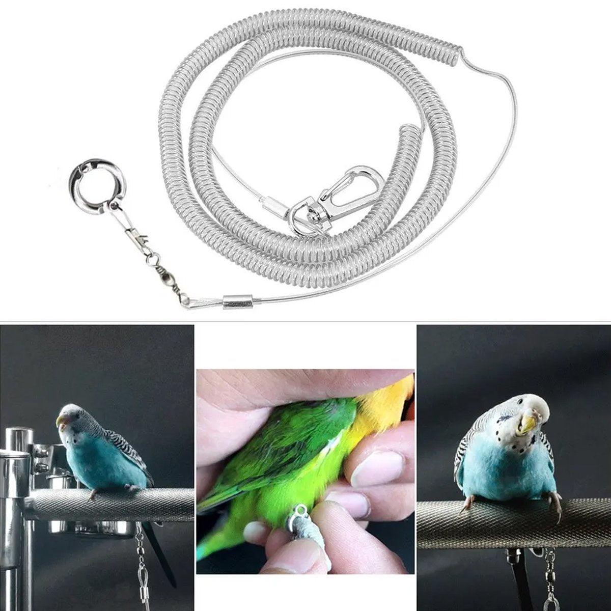 Parrot Leg Ring Anti Slip Bird Anklet Elastic Rope with Alloy Fasteners Supplies - 4mm