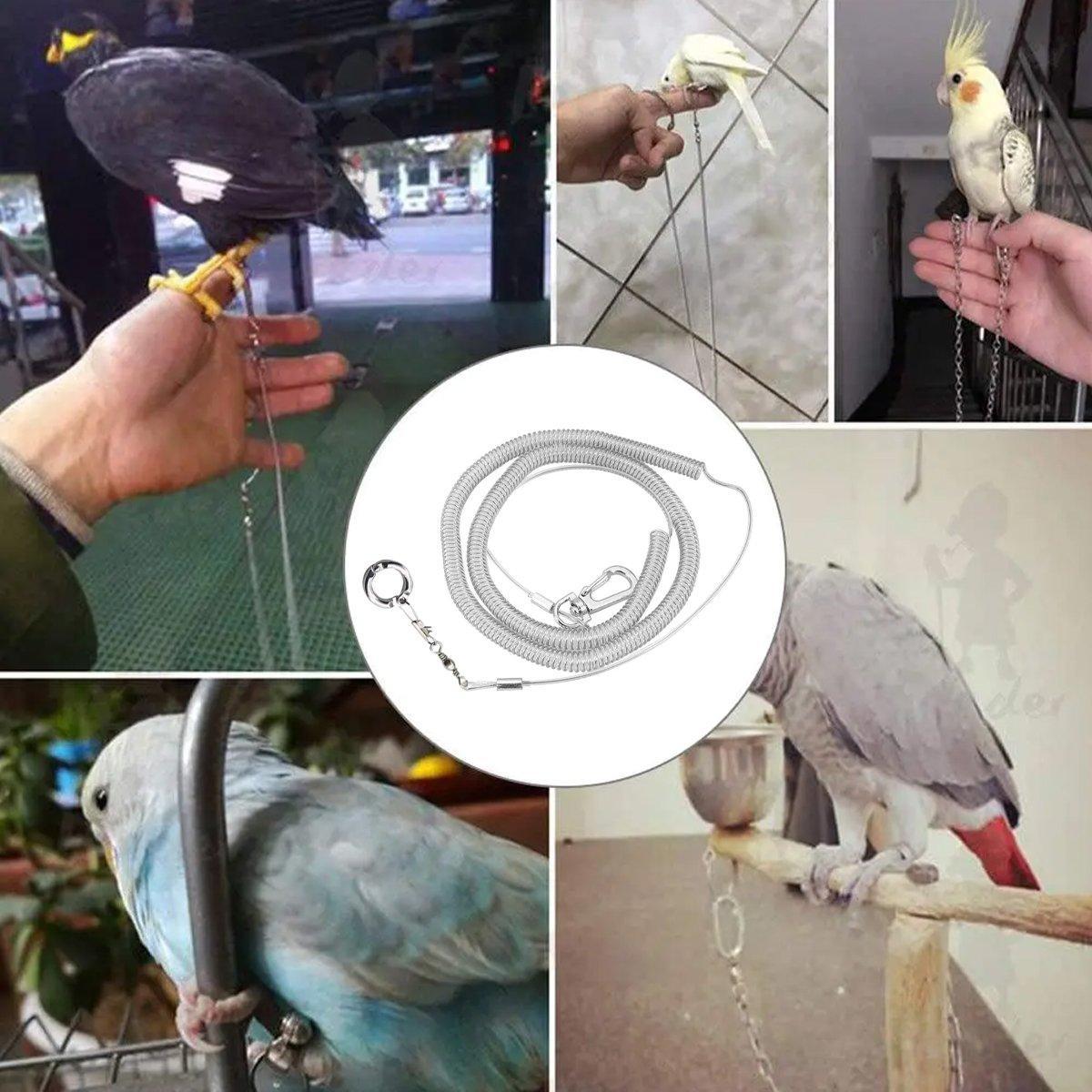 Parrot Leg Ring Anti Slip Bird Anklet Elastic Rope with Alloy Fasteners Supplies - 7mm