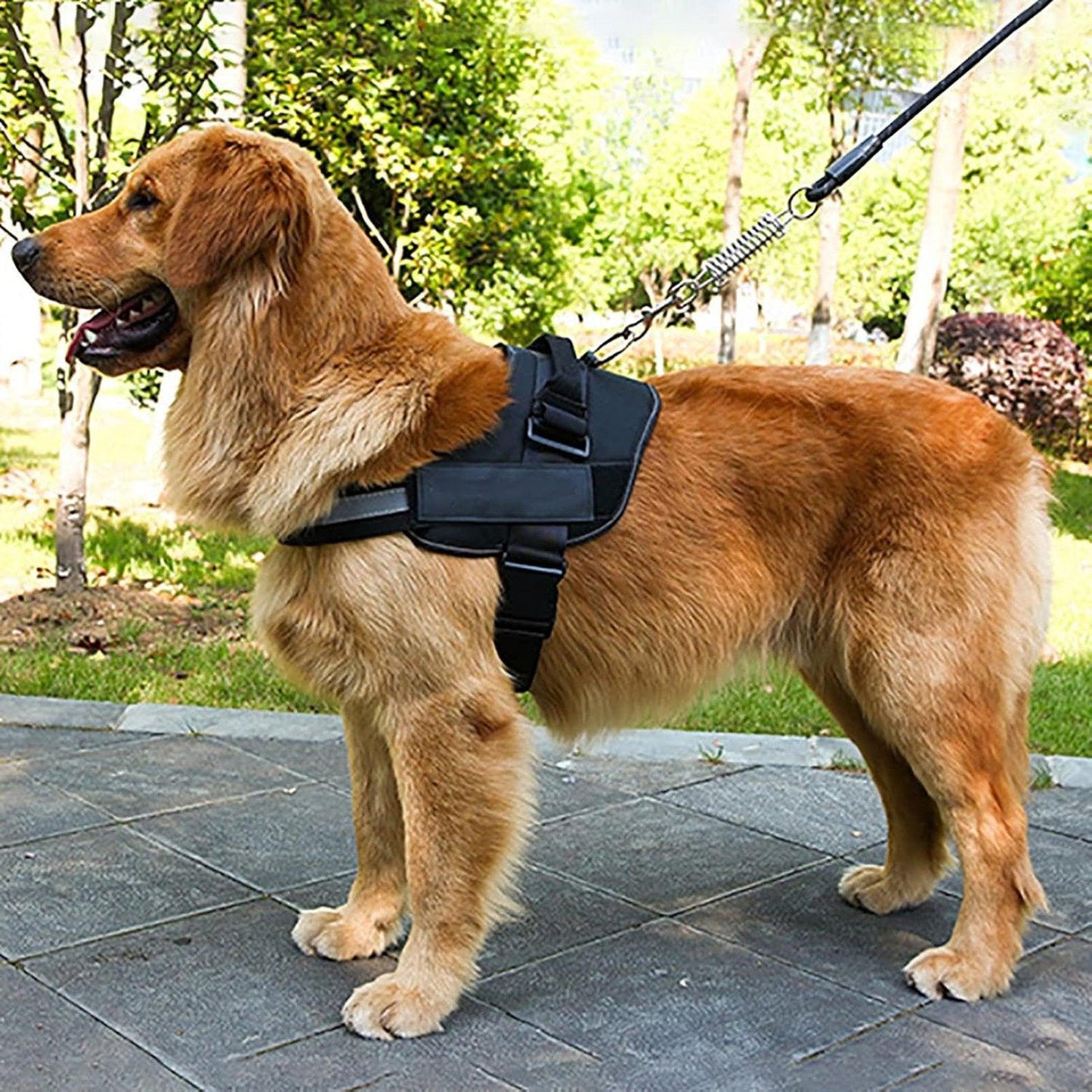 Adjustable Dog Vest Harness for Small Medium Dogs Comfortable No Pull Design - Black-XL