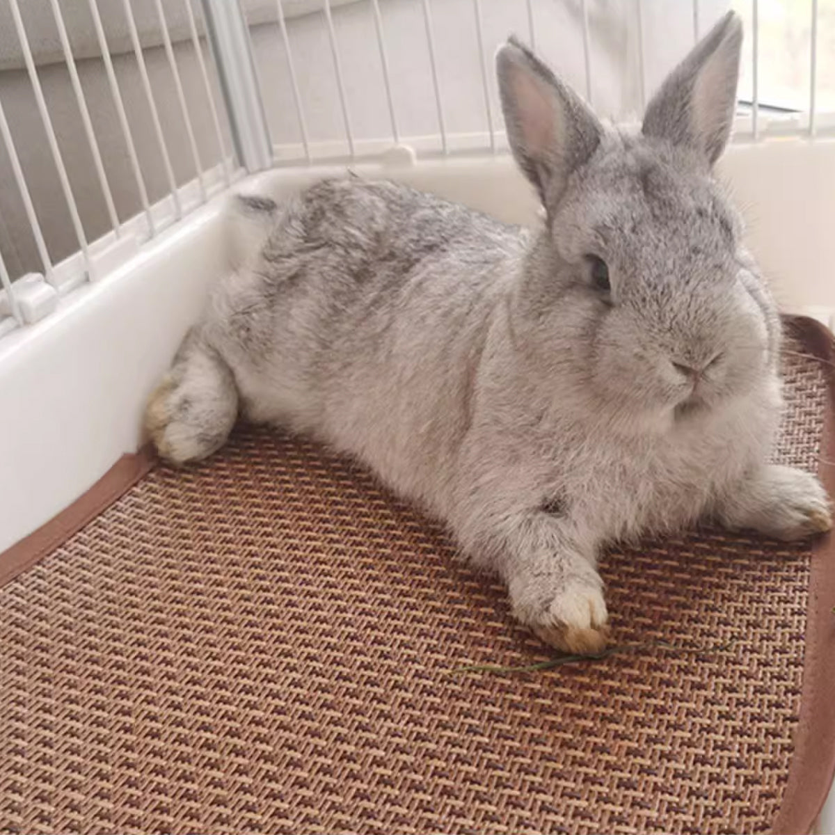 Pet Mat Kennel Cushion Dog Cat Bed Sleeping Pad Soft Washable for Crate Floor - 45x55cm