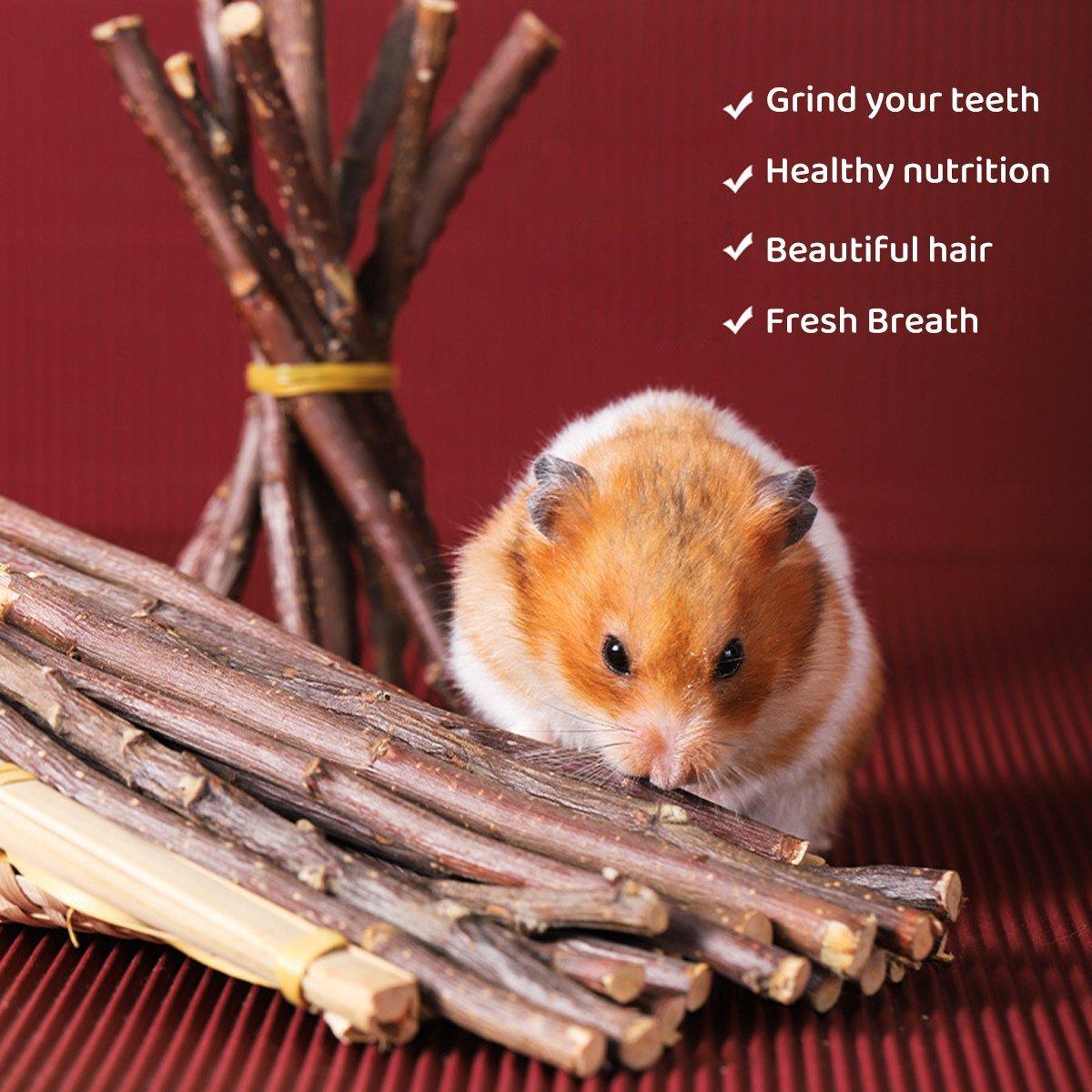 Natural Rabbit Molar Snacks Hamster Branches Sweet Bamboo Grinding Teeth Wood - Black