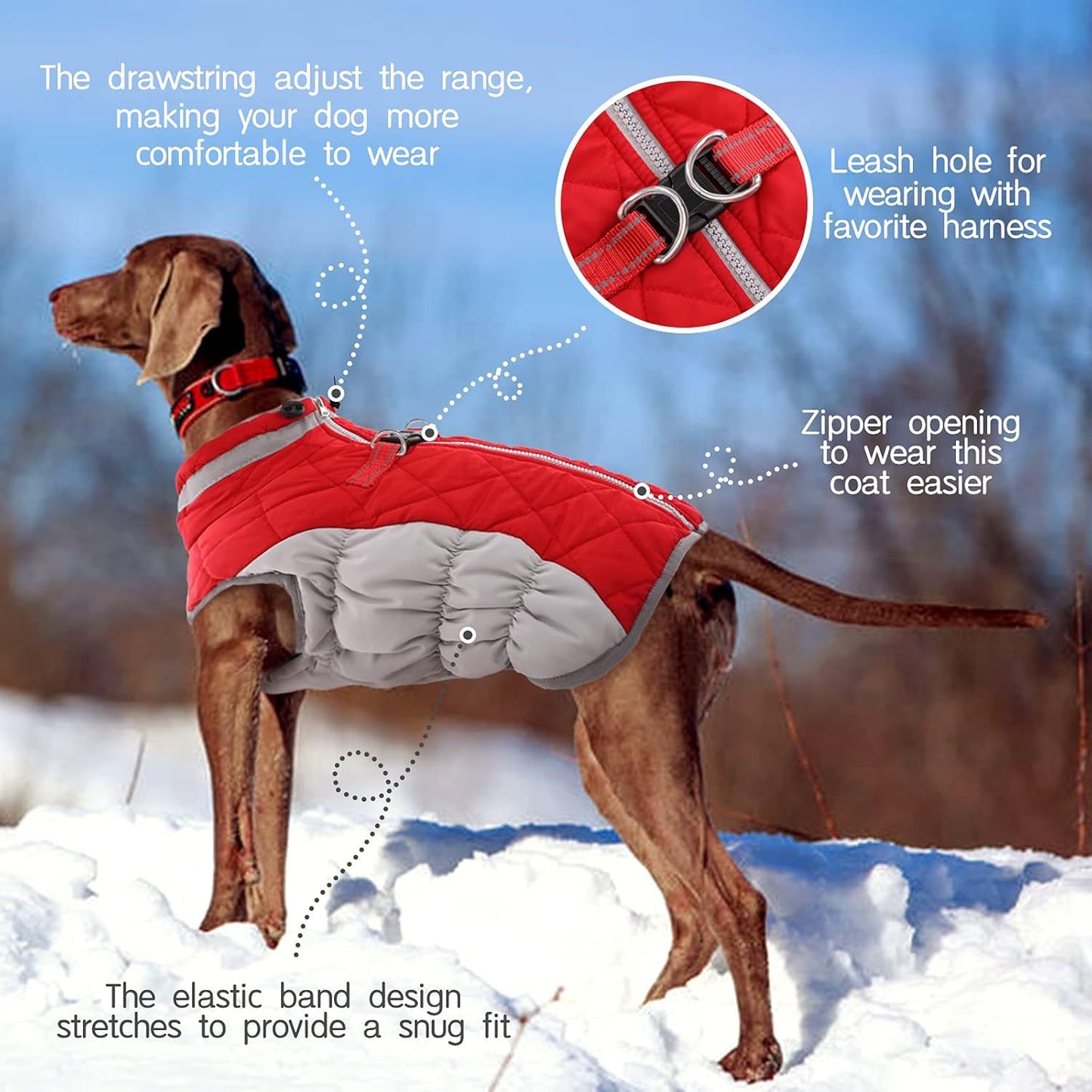 XXL Red Grey Premium Winter Puffer Dog Coat - Windproof & Fleece-Lined Jacket for Cold Weather