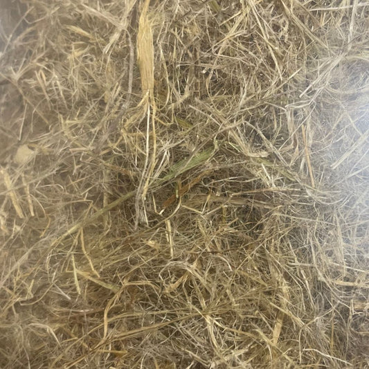 Hemp Absorbent Nest Material | 50g | 2 Pack + Free Shipping